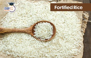 Fortified Rice Meaning, Introduction, Need, Cause & Concern