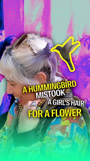 She lived the dream | PlayGround