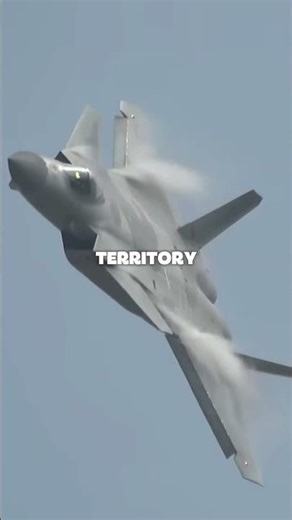 F 35 Stealth Fighter EXPOSED in Combat?