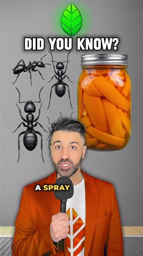 DIY Orange Vinegar Cleaner and Repellent!