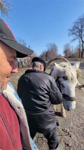 Chernihiv region, Filonivka village, Sosnytskyi district