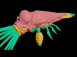 Mesh Segmentation based on Thickness – Houdini Tutorial