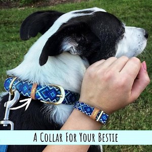121 reactions · 53 shares | Match with your bestie and always stay connected no matter how far apart you are! Shop now ➡️ friendshipcollar.com ☑️ Your purchase will feed hungry shelter pups!  ☑️ Cruelty-free vegan leather!  ☑️ Large selection of designs!  ☑️ Super fast shipping!⚡ Because best friends should match! | FriendshipCollar | Facebook