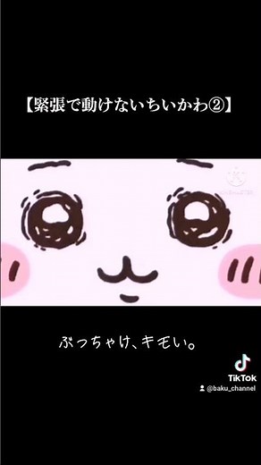 緊張で動けないちいかわ②【ぶっちゃけ、キモい】 #ちいかわ #ハチワレ#パジャマパーティーズ
