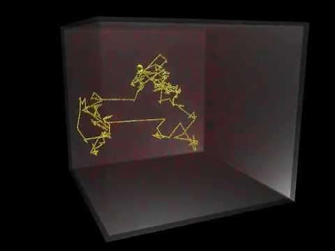 3D Visualization of Random Walk During Particle Diffusion