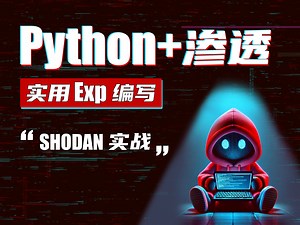Python 渗透 实用Exp编写 SHODAN实战