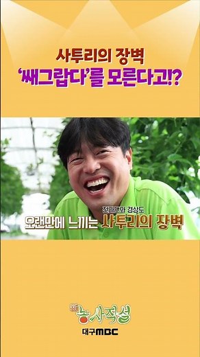 The barrier between Jeolla-do and Gyeongsang-do dialects🫢 #Daegumbc #Dialect