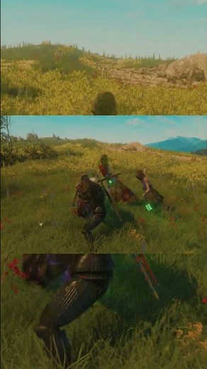 The Witcher 3 Toussaint Spectres: Hidden Endgame Spots #shortsfeed