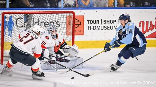 NHL Minor League Hockey Team Affiliate List 2024-2025 - FloHockey