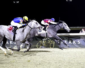 Study Guide: 2026 Blue Grass Stakes | Kentucky Derby
