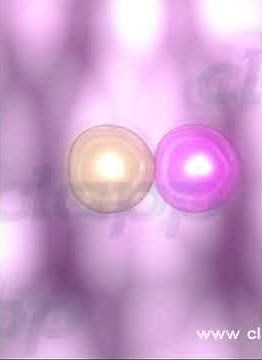 Fertilization in Human ( 3D Animation)