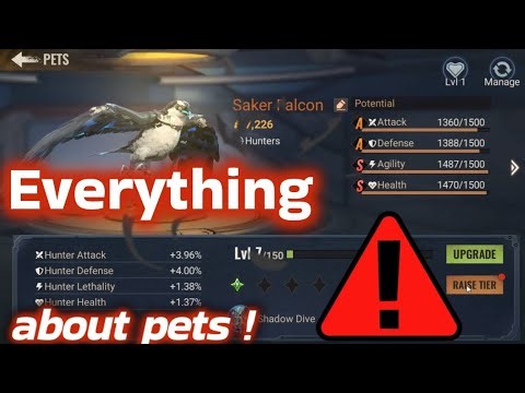State of Survival : everything we know about pets !