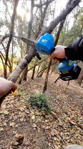 Cutting a Small Tree Trunk Using a Portable Electric Wood Cutting Tool #shorts