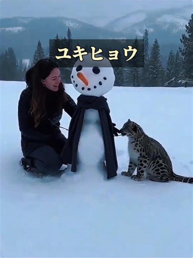 ユキヒョウの家族を描いた感動の物語