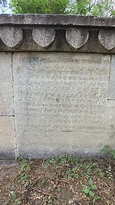 386K views · 71K reactions | Part - 2 Mission Rajsamand - Form Link in bio and broadcast @team.ramdootrestores | Ramdoot Restores | Facebook