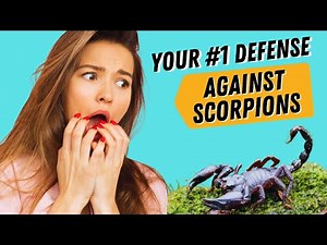 5 Proven Ways to Keep Scorpions Out of Your Home Naturally