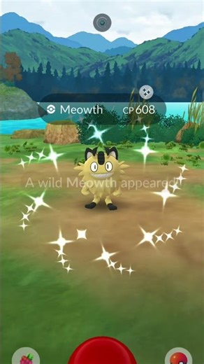 POKEMON GO SHINY GALARIAN MEOWTH CATCH 🐈 Wild Regional Shiny!