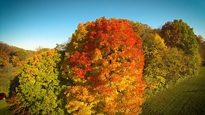 41K views · 968 reactions | Our Fall Color Festival is taking place...