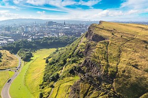 Microchip - How to microchip your dog