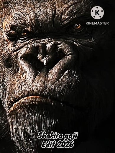 King Kong 2005