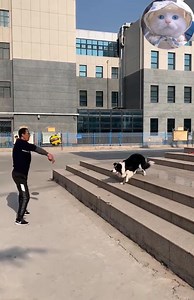 Omg so clever dog 😍🥰😘 | Dogs Daily