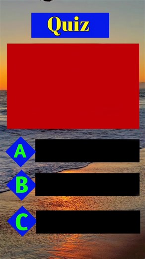 Factory Focus on TikTok