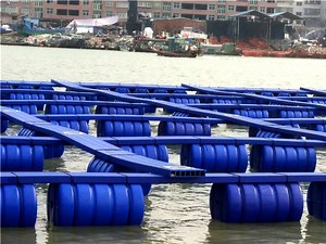 [Hot Item] 2024 Ocean Lake Fish Cage Netting Platform and Walkway