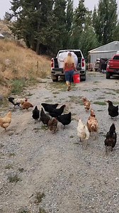 1.6M views · 29K reactions | Happy Saturday! Have a wonderful weekend! #homestead | Mountain Spring Homestead | Facebook