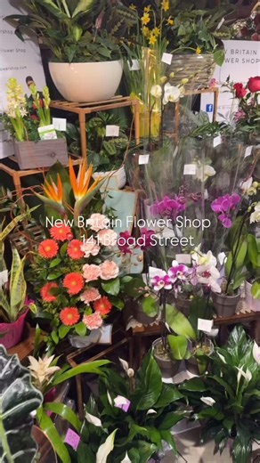 Beautiful florals meet Little Poland charm. Explore New Britain Flower Shop’s curated selection of fresh blooms and ready-to-go arrangements. Visit us at 141 Broad Street. | New Britain Flower Shop