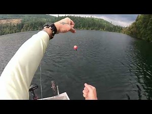 Still water fly fishing Indicator setup.