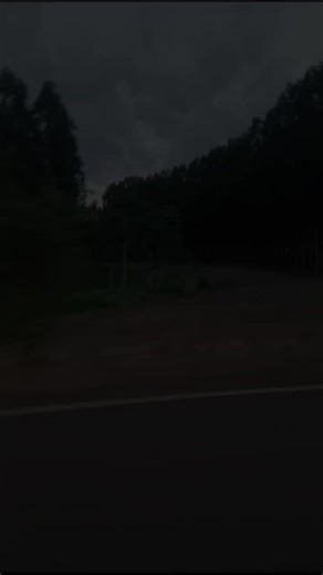 Videos de Simon maciel (@simon.el.paseo) con “sonido original - Marilina”