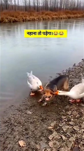 नहाना तो पड़ेगा l 😂😂#comedy #funny #cartoon #ytshorts #jokes #shortsvideo