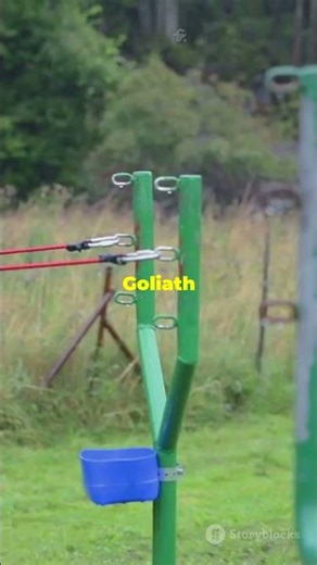 The Physics of David’s Sling: How He Killed a Giant