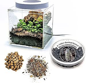 Generic Tiny Terrarium Kit with Isopods (6x6 inch) - DIY Starter Kit, BioActive Enclosure, Live Tropical Plants, LED Grow Light, Soil & Drainage, White