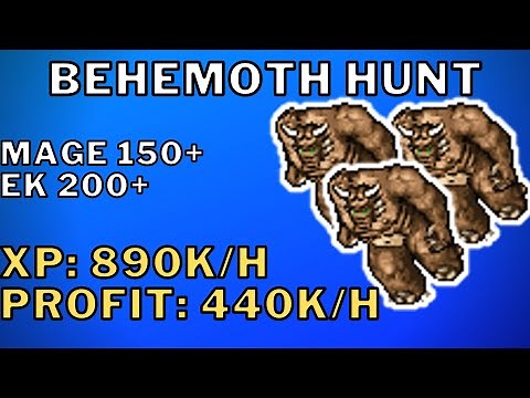 BEHEMOTH HUNT (Forbidden Lands of Tiquanda)(XP: 890K/H PROFIT: 440K/H) EK 200+ / MAGE 150+ | TIBIA