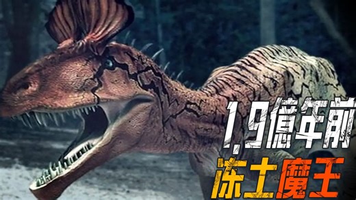 那不是普通的鳞片,是一根根长达15厘米的超长羽状结构？