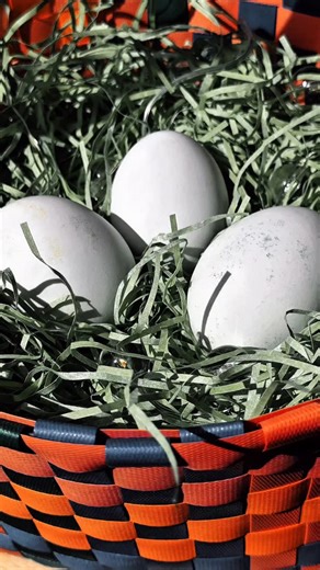 47K views · 667 reactions | The Legend of Mary Magdalene and Emperor...