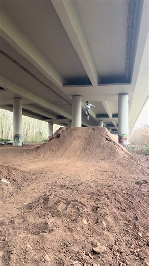 @💫FELIX💫 @Fynn.freeride @Anthony_On_Cube @LE🪐 #fy #MTB #radon #swoop #bike