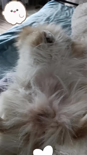 Gabi (@cinderella_10_)’s videos with Originalton - Joyn