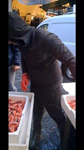 5.5K views · 125 reactions | Prenota al 340 60 94 386 servizio a domicilio per catania e provincia #motopescagiacomopagre #pescheriadicata #piazzaalonzodibenedetto #motopescamarialucia #sindacodicatania #PescheriaDiCatania #gamberorosso #MaltempoSicilia #catania #ortigia | Motopesca Marialucia | Facebook