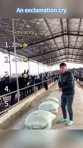 He can converse with almost any animal—it's truly amazing. 🐶🐴#funnydog #dog #animals #foryou #usa