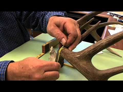 Scoring Your Trophy Buck