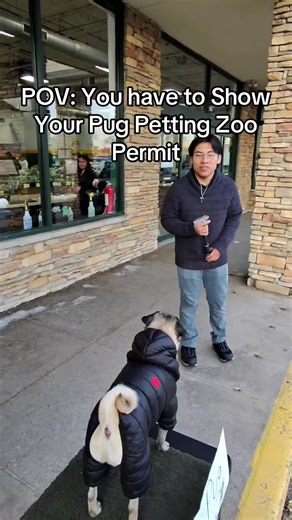 #pug #roodabeguh | Pug