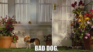 fdf6012c-27b6-4e6b-a3fb-b35a9a11fb0d