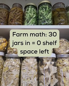 Farm Math 101 → 30 jars in = 0 shelf space left. Self-sustaining life looks like full pantries, crowded shelves, and finding space in every nook for one more jar. But honestly? That’s the kind of “problem” we don’t mind having.   Drop a 龎 if your shelves are overflowing too  Save this post if you dream of a pantry that’s always full #farmlife #foodsovereignty #bestlife #livingofftheland | The Misfits Mini Farm | Facebook