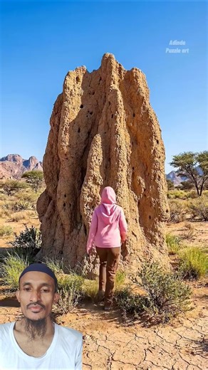 Safe Home for ant__ 👍 Allahu Akbar | #shortvideo