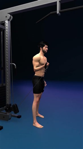 Want bigger biceps? Try the bicep cable curl 💪