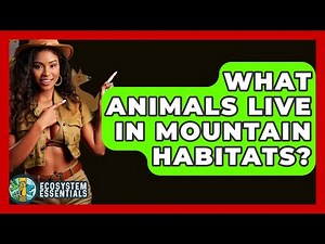 What Animals Live In Mountain Habitats? - Ecosystem Essentials