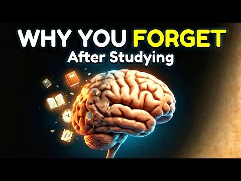 How Memory Really Works (Backed by Brain Science)
