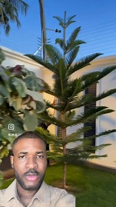 Maison moderne Africaine avec Jardin Découvrez la configuration d'une maison bien pensée avec un espace jardin pour les enfants et un espace minéral pour le parking ou les jeux. Une pergola au fond du jardin invite à la détente en famille. #Architecture #Décoration #EspaceExtérieur #AménagementPaysager | Sagesse Boutou